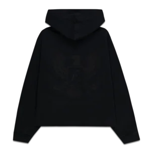 WDTY DISTRESSED HOODIE back